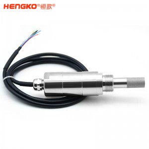 HG602干燥氣體微型露點變送器在線露點儀工業級溫濕度露點測量儀